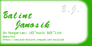 balint janosik business card